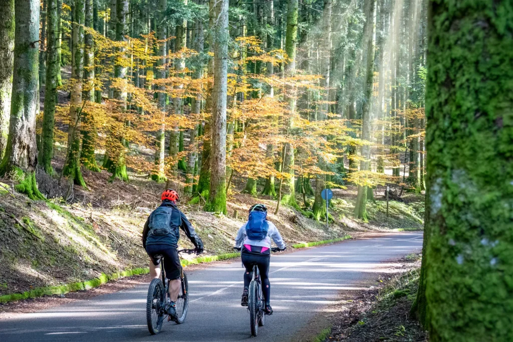 「神に至る道」を走る。サイクリストのための、甲賀・神村ヒーリング旅